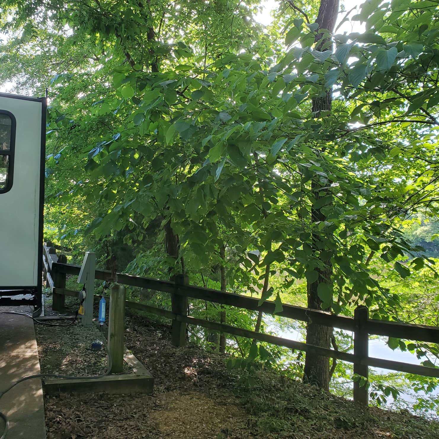 Forkland Campground Forkland, AL