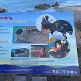 Review photo of Harris Beach State Park Campground by Phoebe B., May 22, 2021