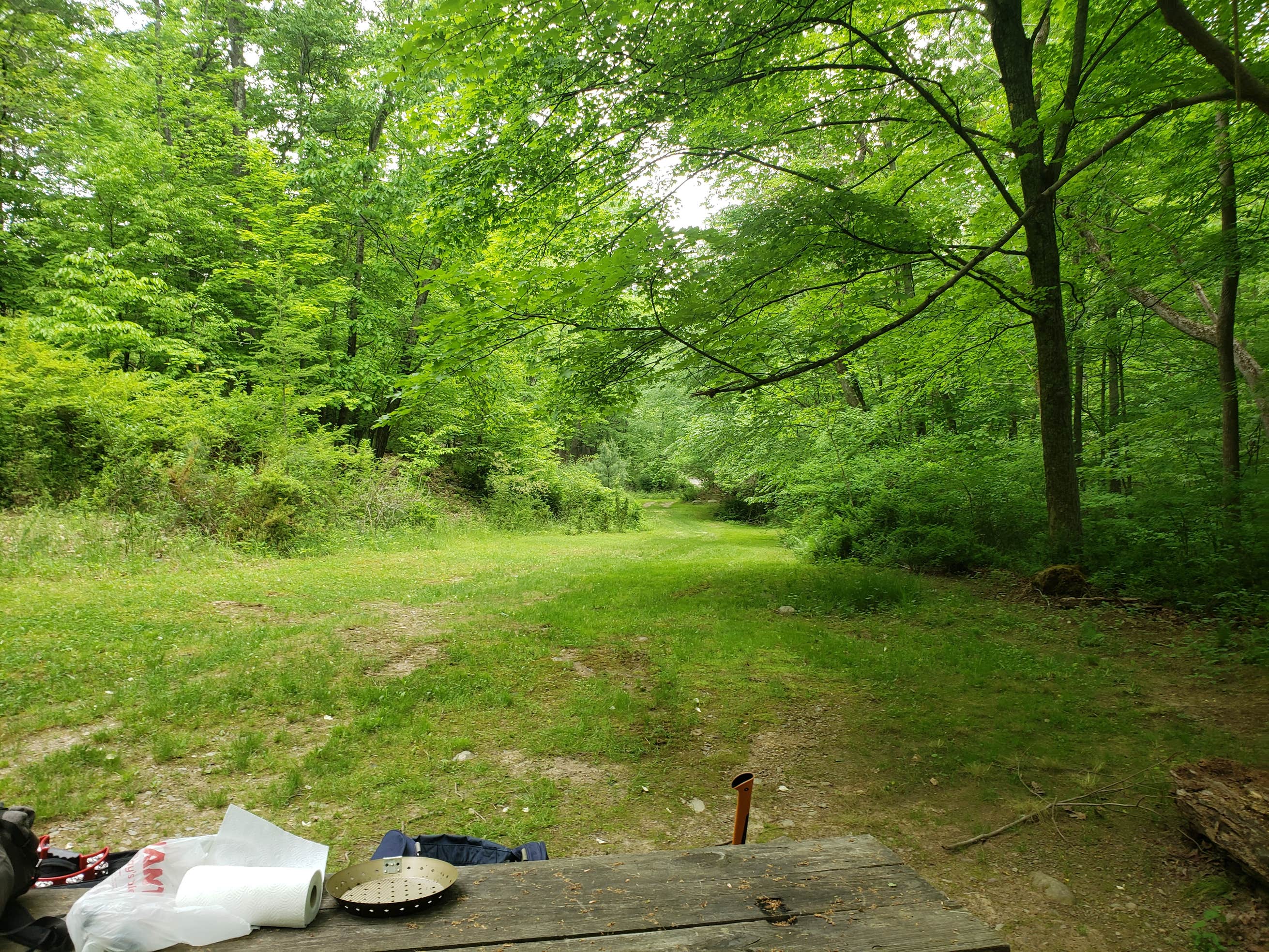 Cranberry Run Campground Camping The Dyrt