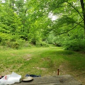 Review photo of Cranberry Run Campground by Addam C., May 22, 2021