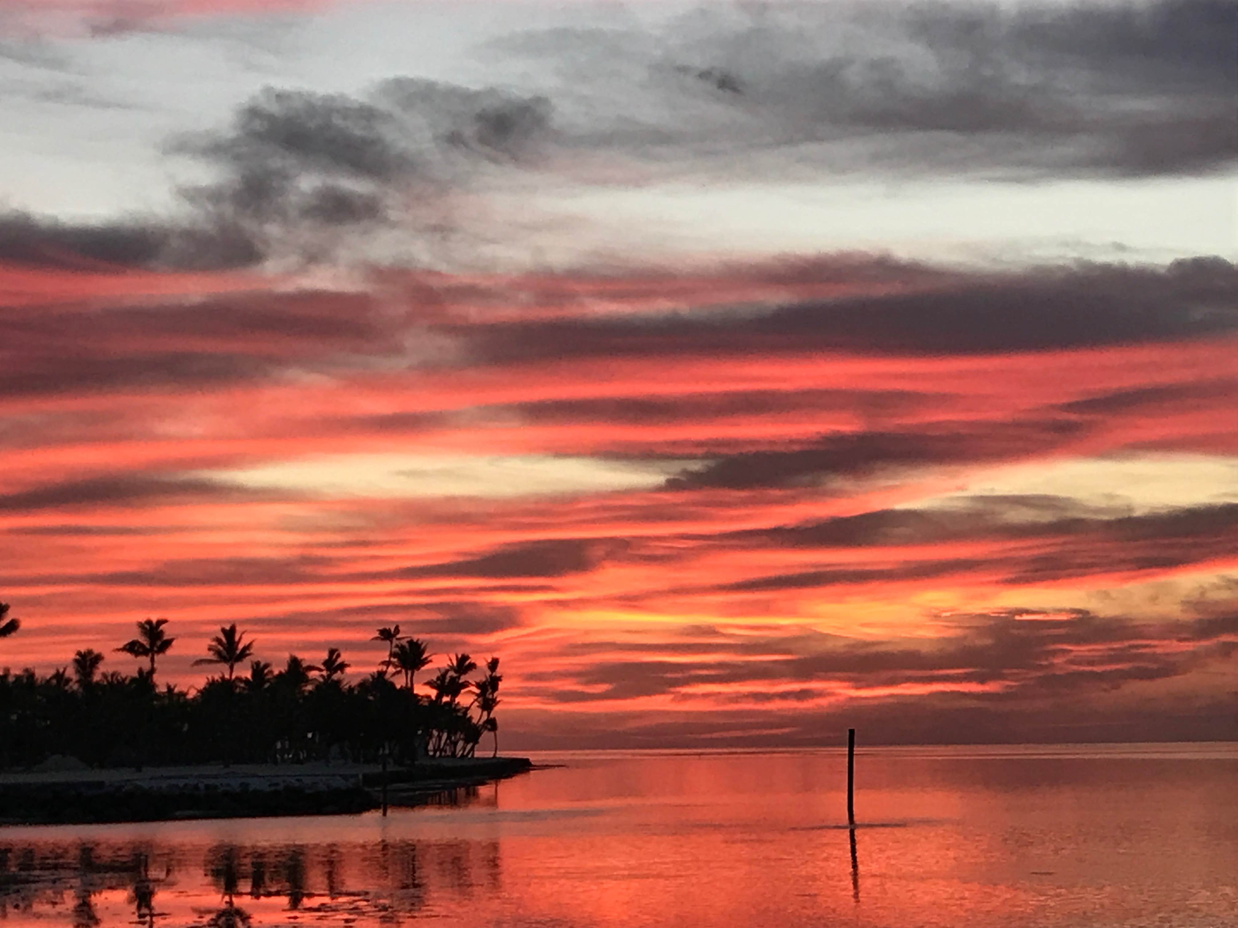 Camper submitted image from Curry Hammock State Park Campground - 2