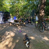 Review photo of Cape Henlopen State Park Campground by Alisa C., May 22, 2021