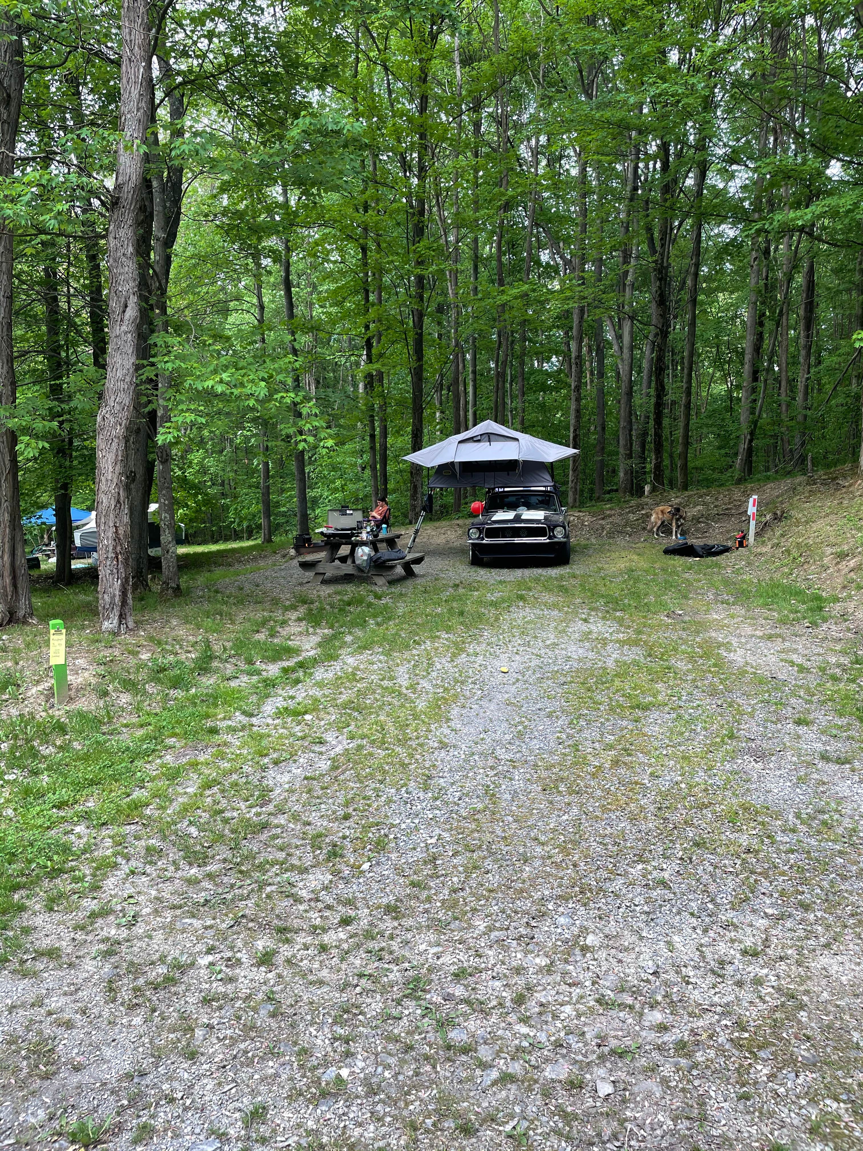 AdventureStang's photo at Clearfield County Curwensville Lake Recreation Area near Falls Creek, PA