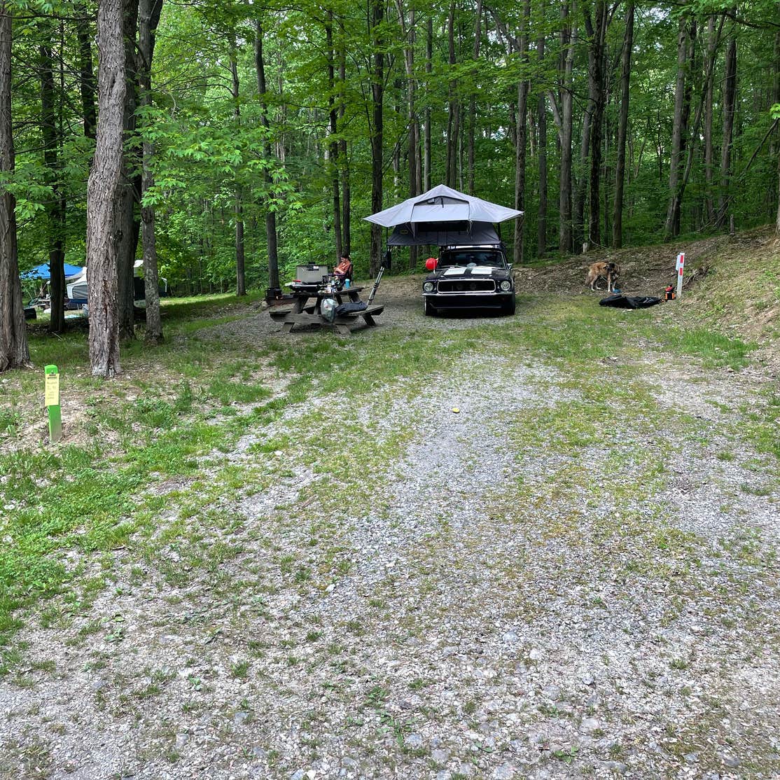 Clearfield County Curwensville Lake Recreation Area Camping