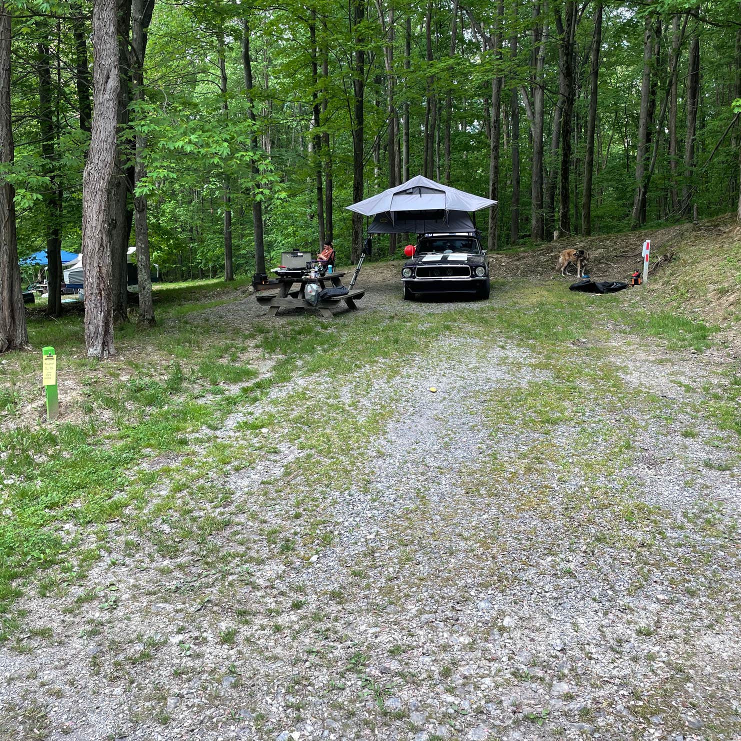 Clearfield County Curwensville Lake Recreation Area Camping