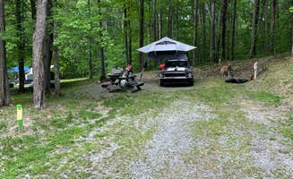 AdventureStang's photo at Clearfield County Curwensville Lake Recreation Area near Dysart, PA
