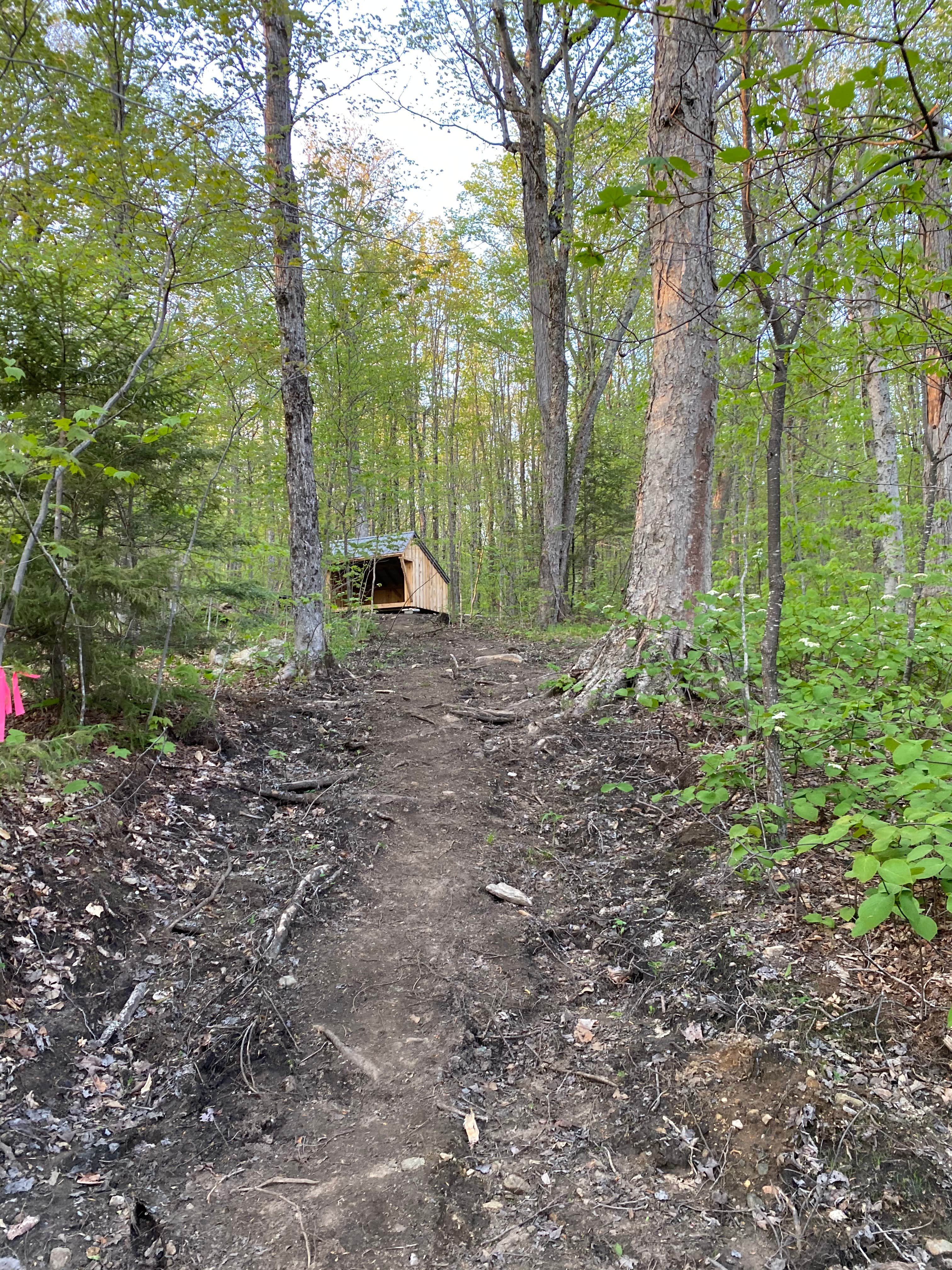 Camper submitted image from Grout Pond Campground — Green Mountain & Finger Lakes National Forests - 4