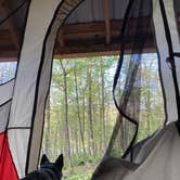 Review photo of Grout Pond Campground — Green Mountain & Finger Lakes National Forests by Molly G., May 22, 2021