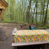 Review photo of Grout Pond Campground — Green Mountain & Finger Lakes National Forests by Molly G., May 22, 2021