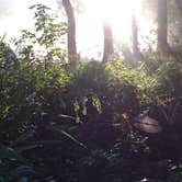 Review photo of Beavers Bend State Park Campground by Veronica  S., June 5, 2018