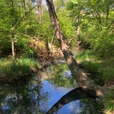 Review photo of Buckhorn Campground Loop C — Chickasaw National Recreation Area by Lee D., May 22, 2021