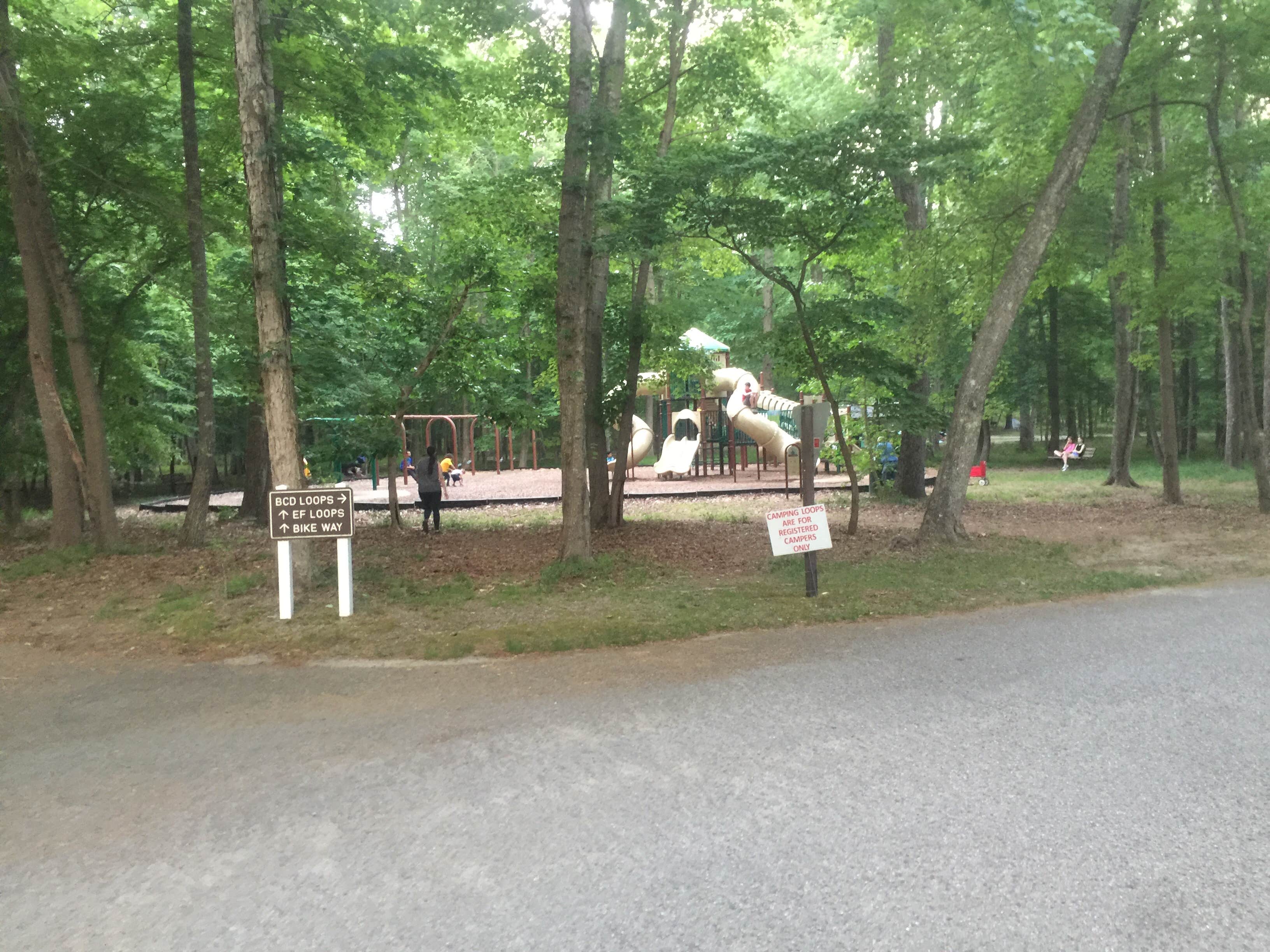 Newport News Park Campground The Dyrt