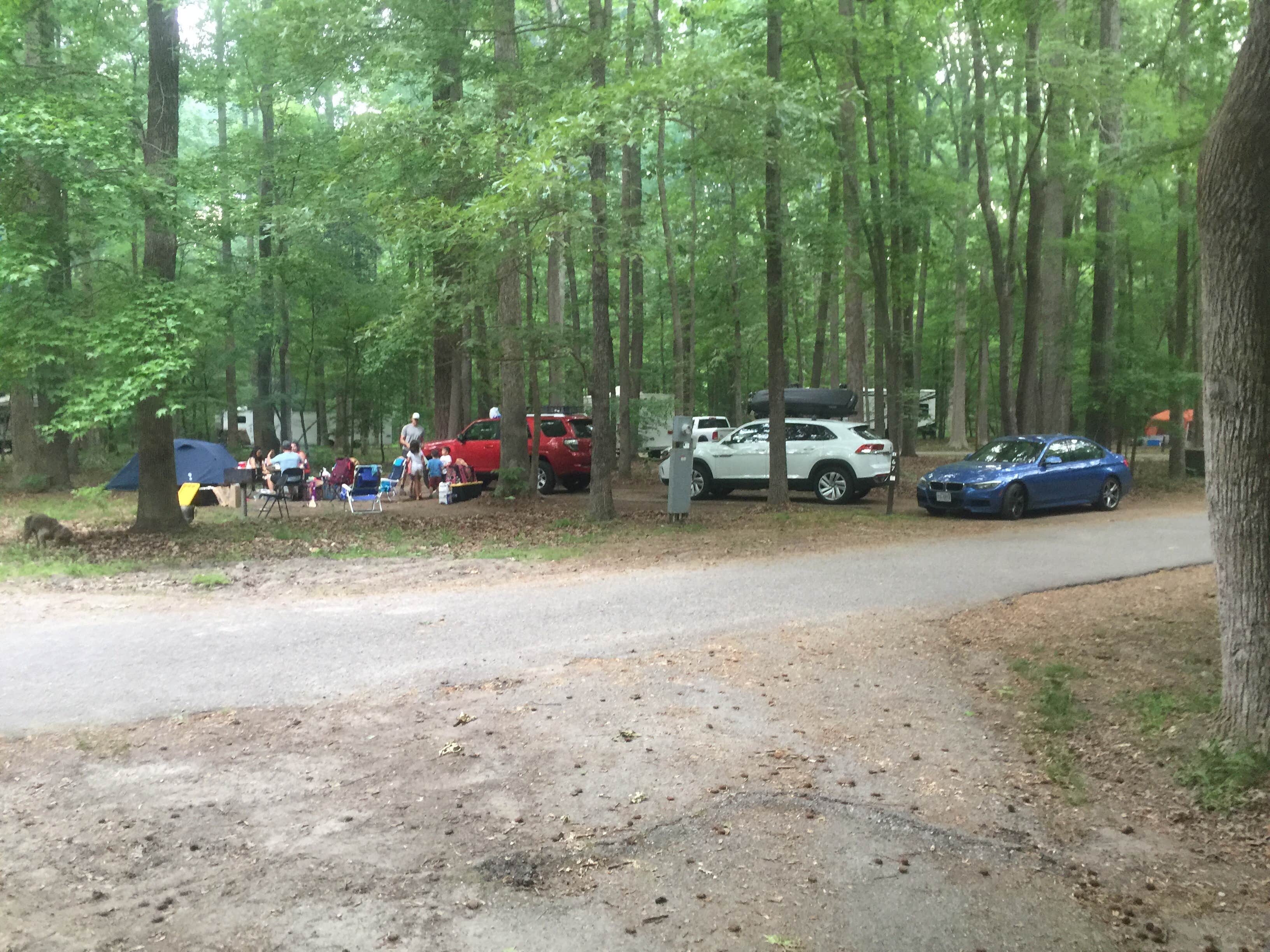 TylerWende O.'s photo at Newport News Park near Newport News, VA