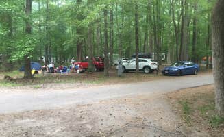 TylerWende O.'s photo at Newport News Park near Lackey, VA