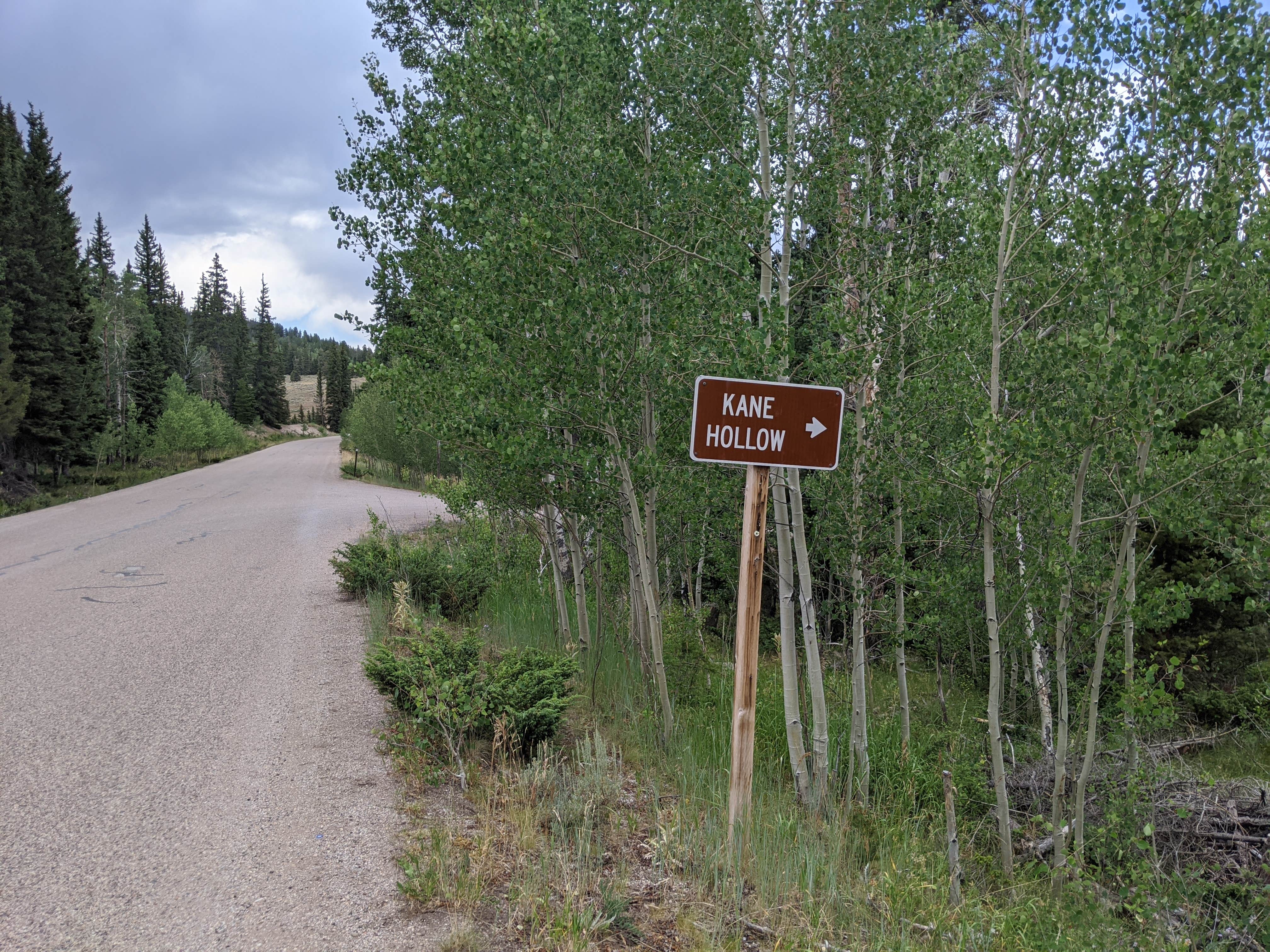 Camper-submitted photo at Kane Hollow near Whiterocks, UT