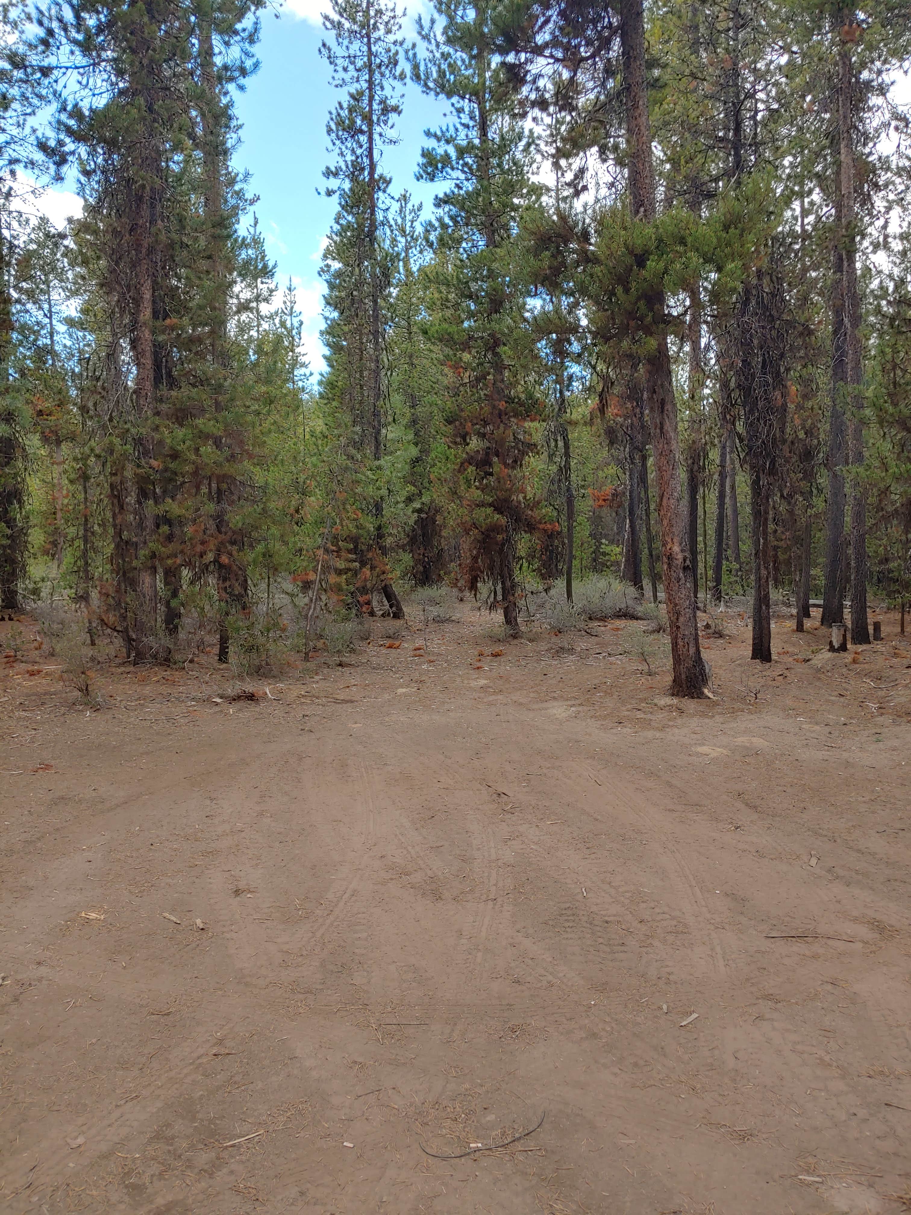 Camper-submitted photo at Dispersed wikiup camping near Gilchrist, OR