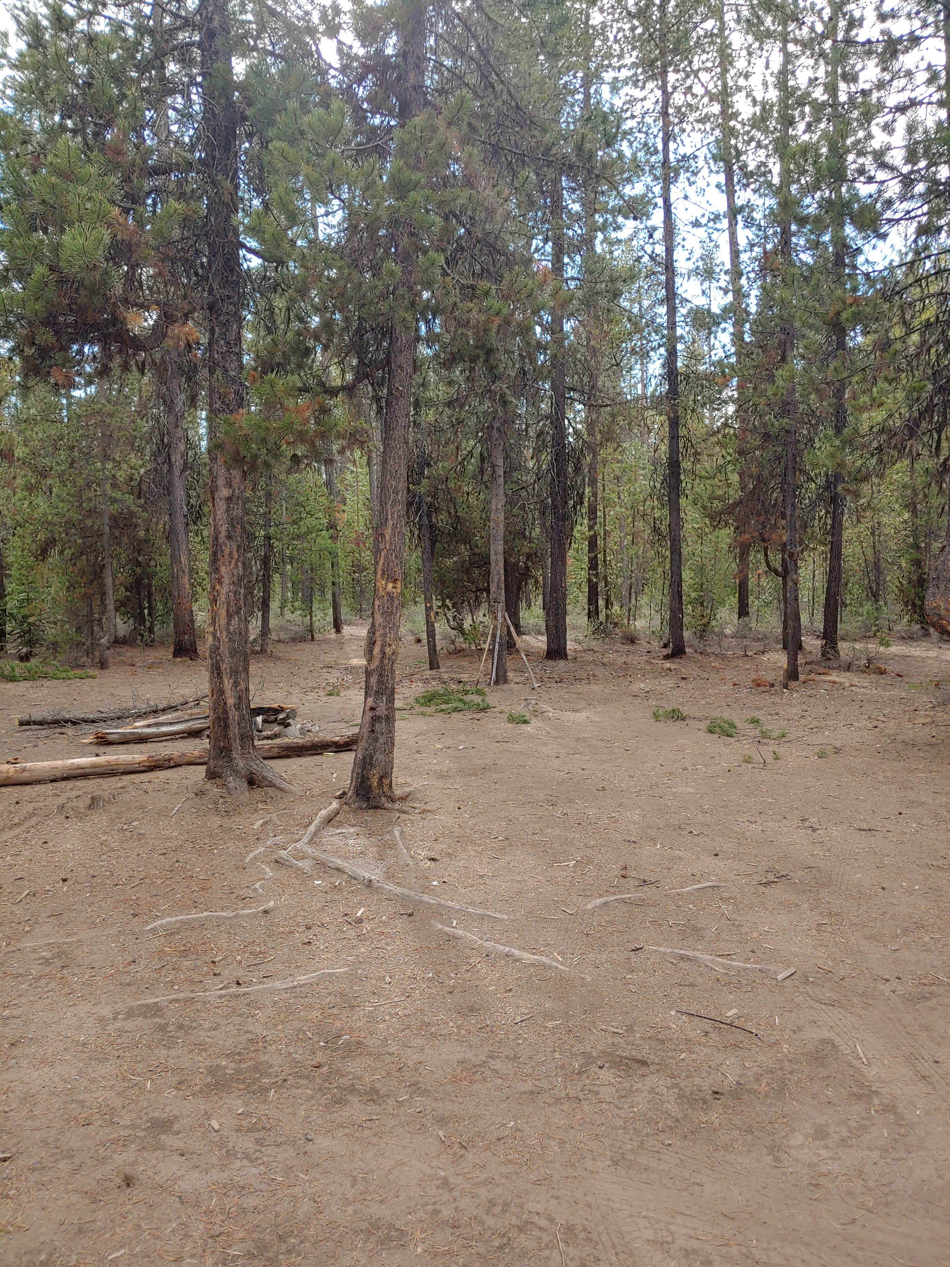 Camper-submitted photo at Dispersed wikiup camping near Gilchrist, OR