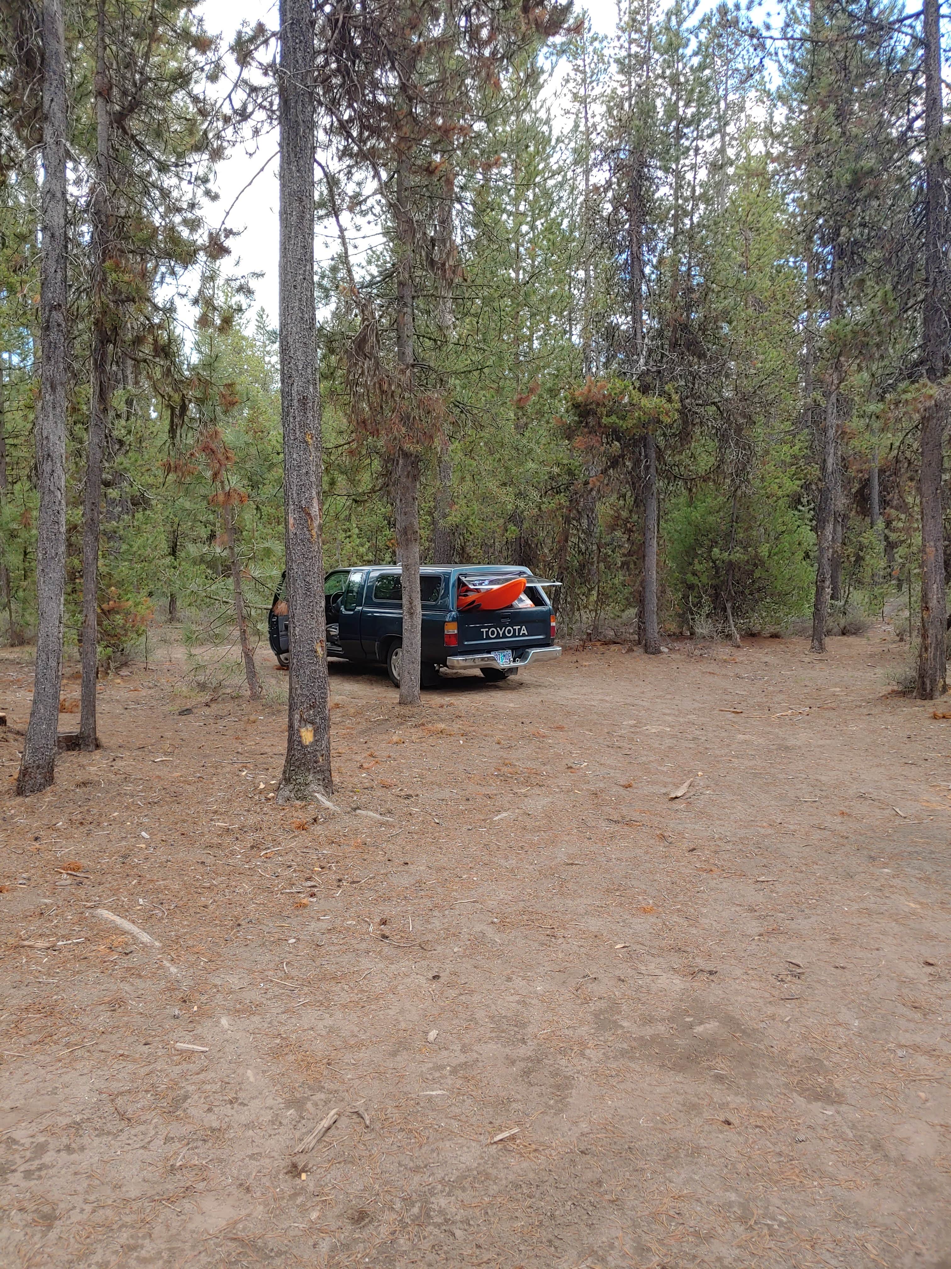 Camper-submitted photo at Dispersed wikiup camping near Gilchrist, OR