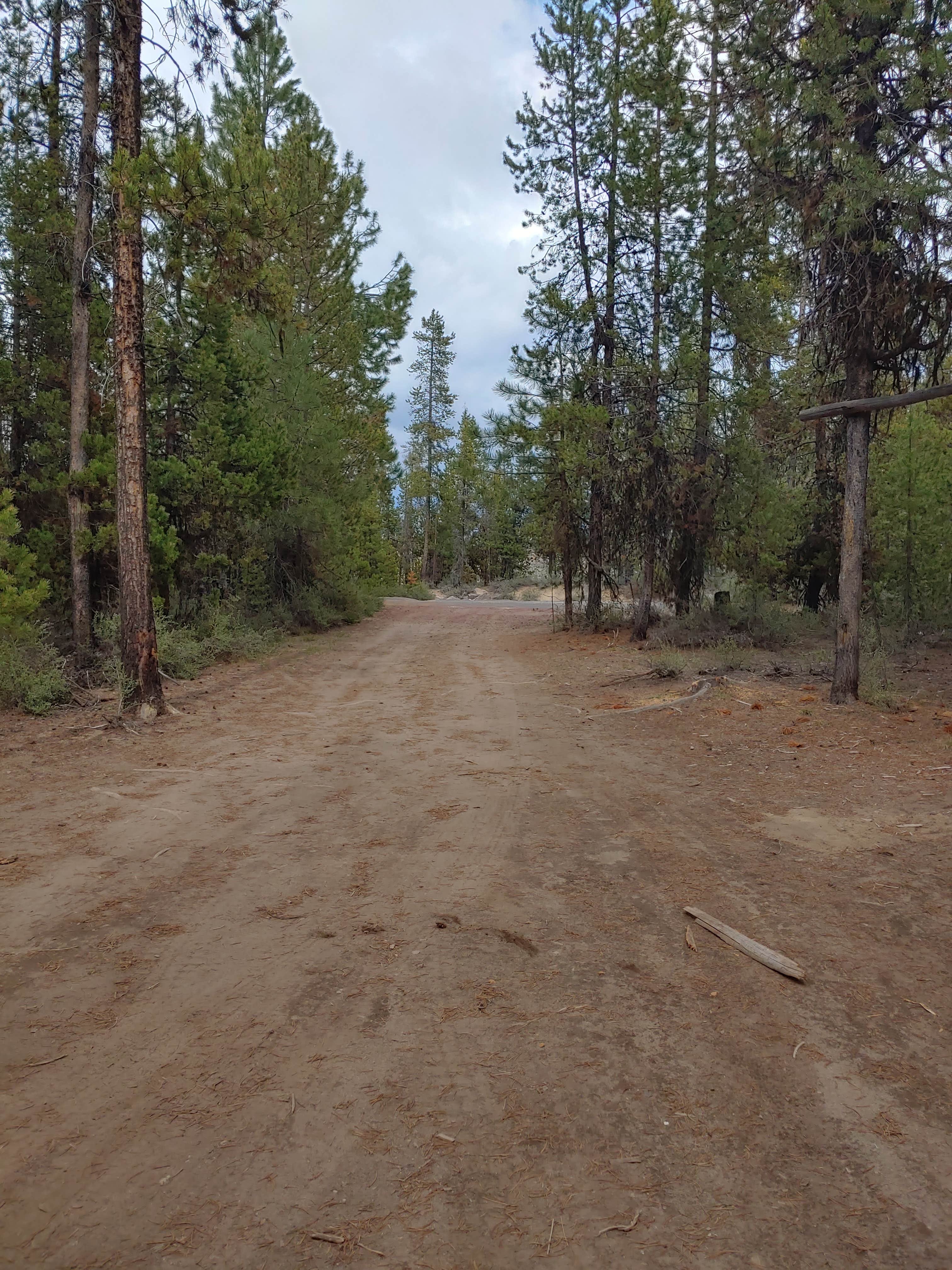 Camper-submitted photo at Dispersed wikiup camping near Gilchrist, OR