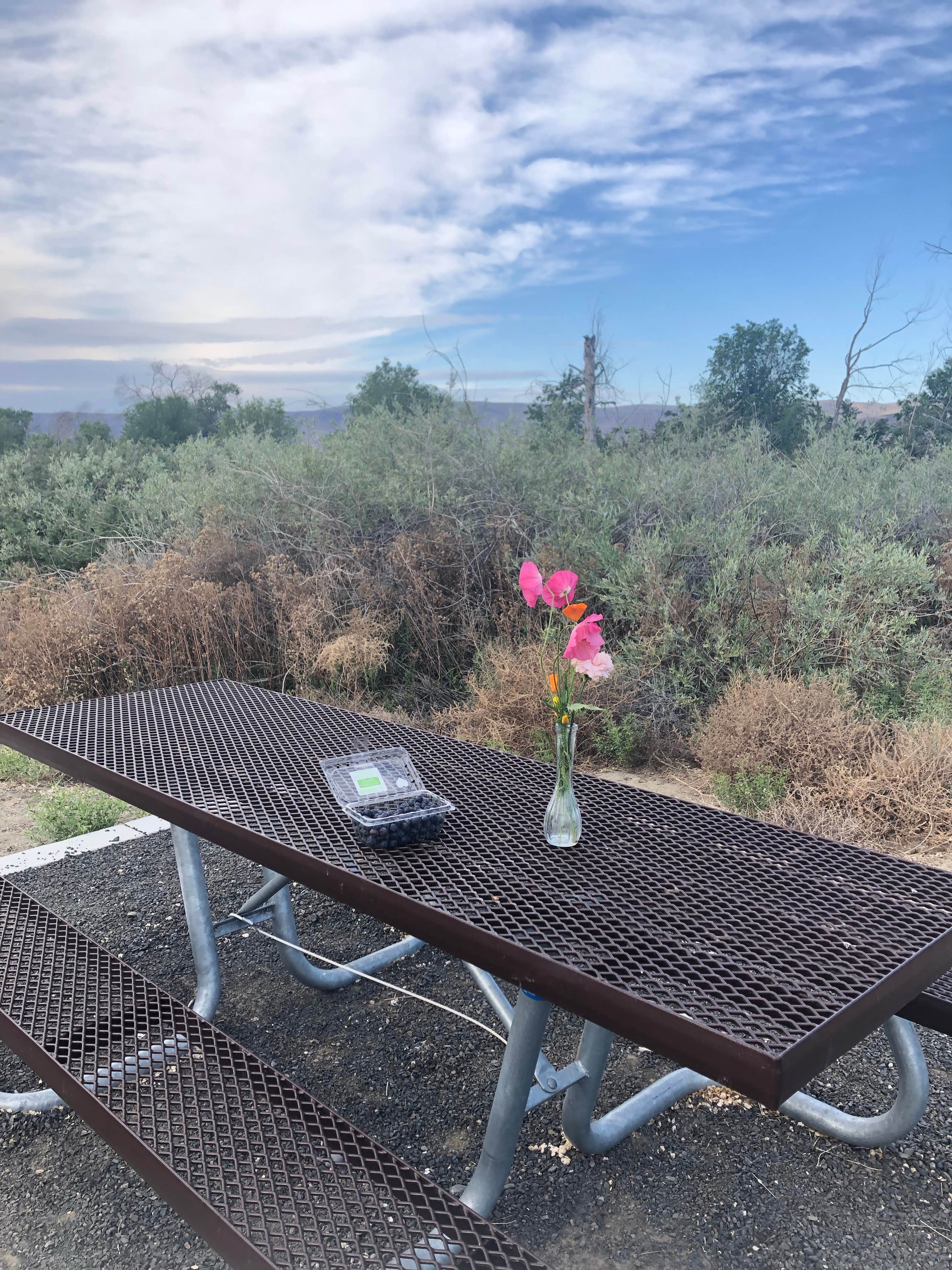 Camper submitted image from Sand Hollow Campground - 4