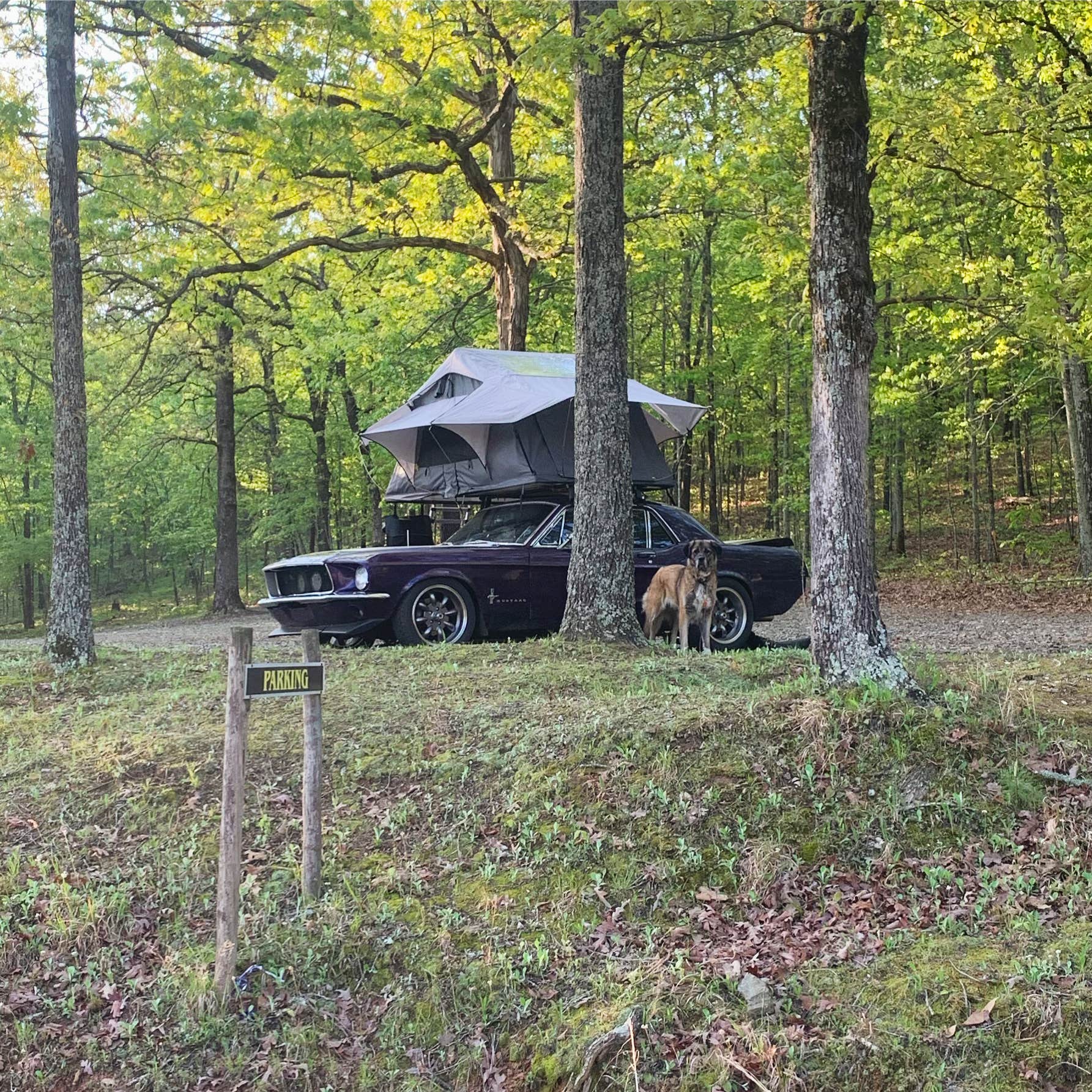 AdventureStang's photo of a cabin at Indian Lakes Resort near Sweet Home, AR