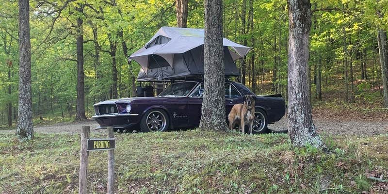 Camper submitted image from Indian Lakes Resort