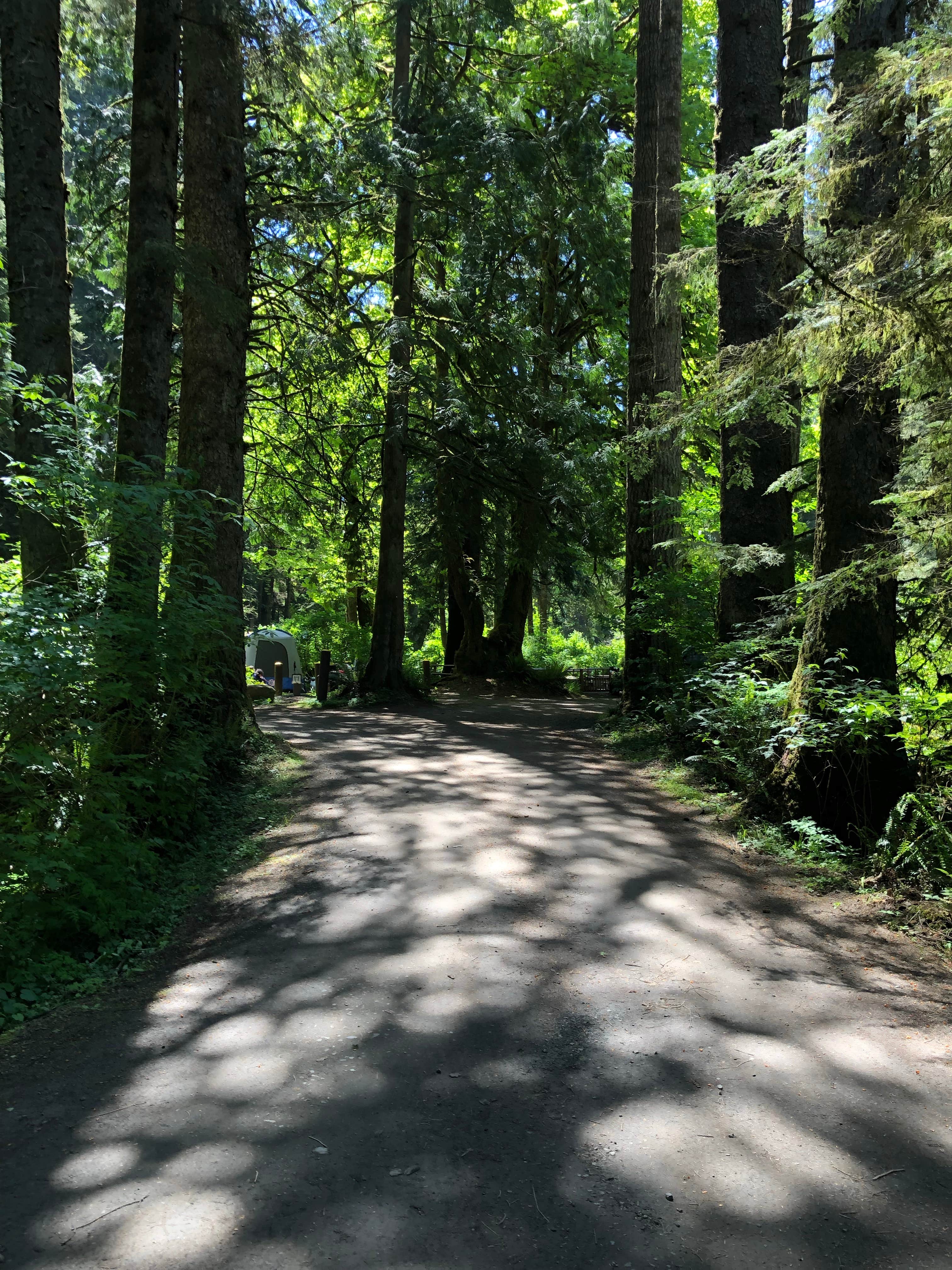 Lyre River Campground | The Dyrt