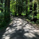 Review photo of Lyre River Campground by Thomas B., May 23, 2021