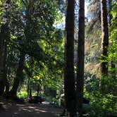 Review photo of Lyre River Campground by Thomas B., May 23, 2021