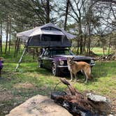Review photo of The Farm - Campground & Events by AdventureStang , May 23, 2021