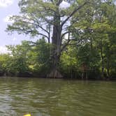 Review photo of Beavers Bend State Park Campground by Veronica  S., June 5, 2018