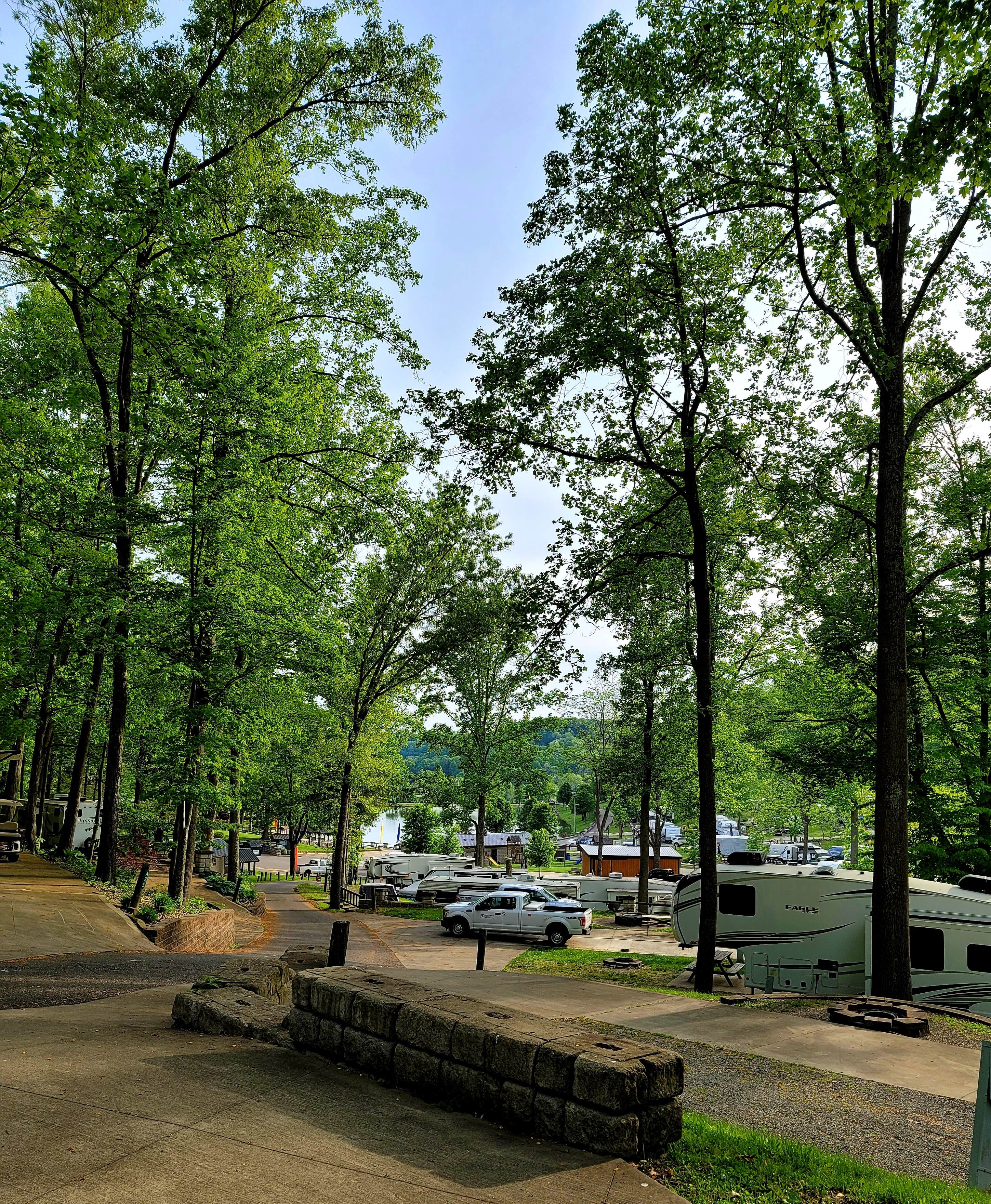 Camper submitted image from Woods Tall Timber Resort - 3