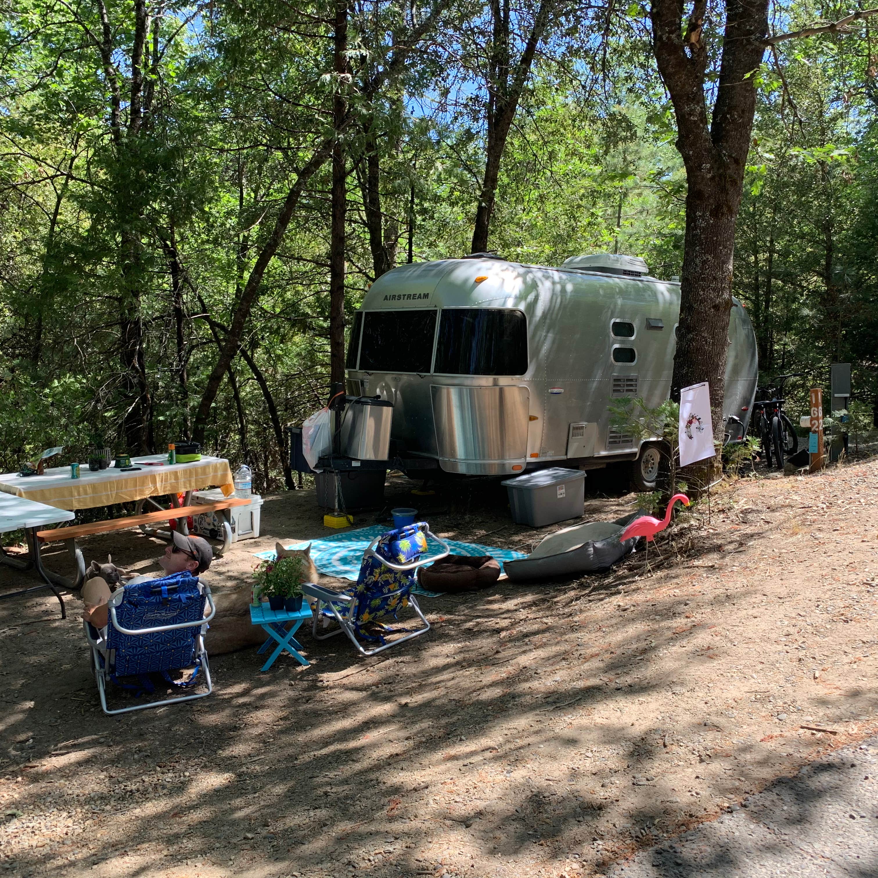 Bass Lake at Yosemite RV Resort Camping The Dyrt