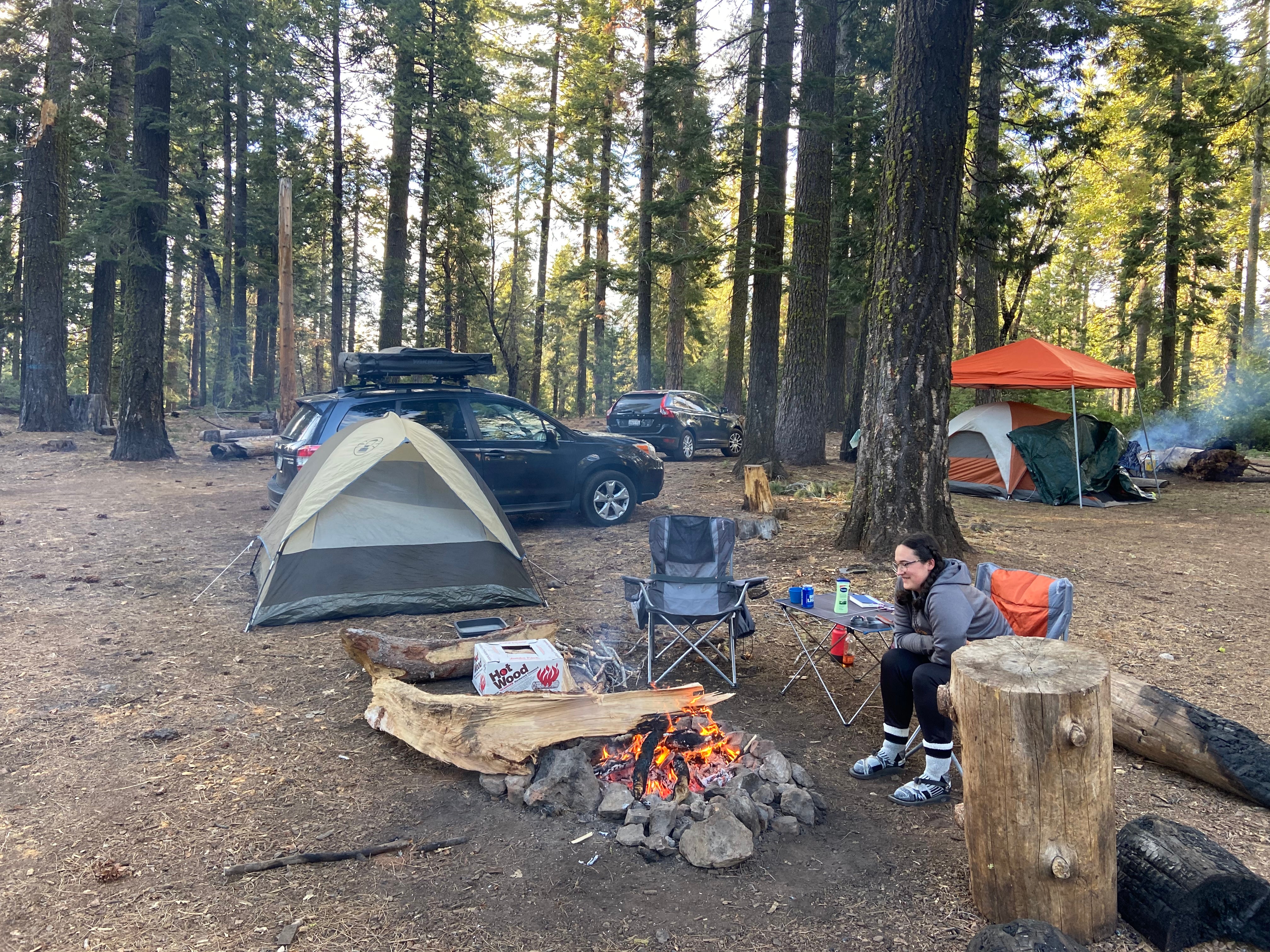 Camper submitted image from Yosemite “Boondock National” Dispersed Camping - 5