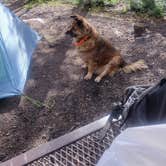 Review photo of Uncompahgre National Forest Thistledown Campground by Florian J., May 21, 2021