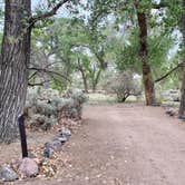 Review photo of Samuel Buckland Campground — Fort Churchill State Historic Park by Alison , May 22, 2021