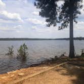 Review photo of Mistletoe State Park Campground by Christy F., May 23, 2021