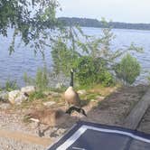 Review photo of Mistletoe State Park Campground by Christy F., May 23, 2021