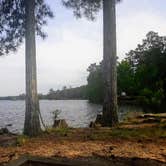 Review photo of Mistletoe State Park Campground by Christy F., May 23, 2021