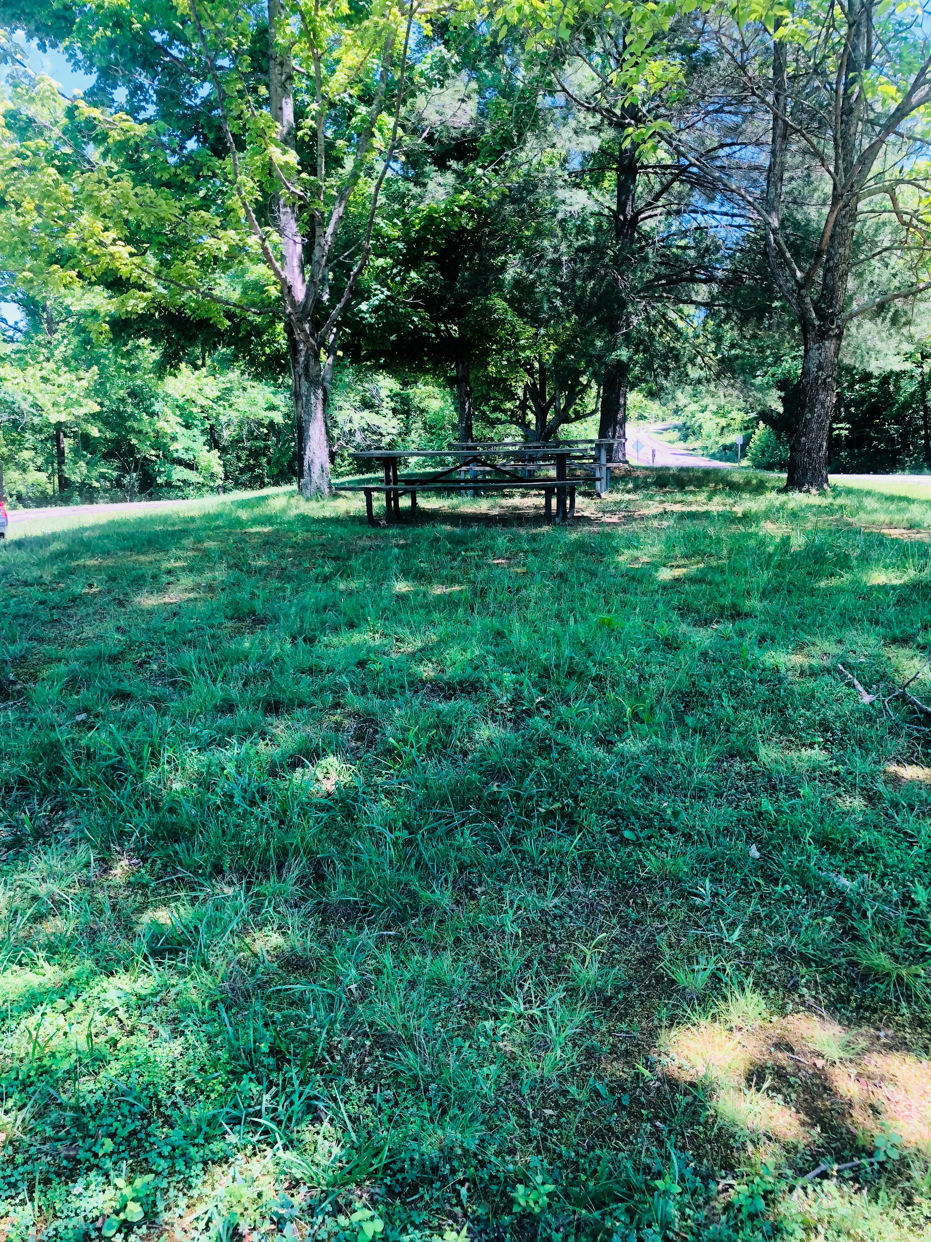 The small picnic area