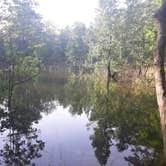 Review photo of Mistletoe State Park Campground by Christy F., May 23, 2021