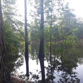 Review photo of Mistletoe State Park Campground by Christy F., May 23, 2021