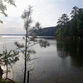 Review photo of Mistletoe State Park Campground by Christy F., May 23, 2021