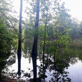 Review photo of Mistletoe State Park Campground by Christy F., May 23, 2021