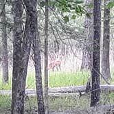 Review photo of Mistletoe State Park Campground by Christy F., May 23, 2021