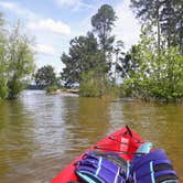 Review photo of Mistletoe State Park Campground by Christy F., May 23, 2021