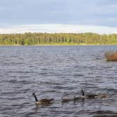 Review photo of Mistletoe State Park Campground by Christy F., May 23, 2021