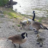 Review photo of Mistletoe State Park Campground by Christy F., May 23, 2021