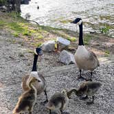 Review photo of Mistletoe State Park Campground by Christy F., May 23, 2021