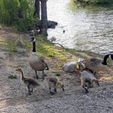 Review photo of Mistletoe State Park Campground by Christy F., May 23, 2021